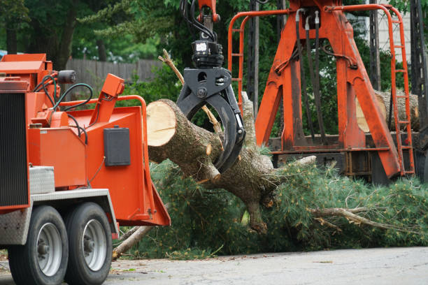 Lawn Drainage Solutions in Newport, VT